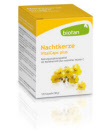 biotan_nachtkerze