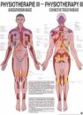 phys_3